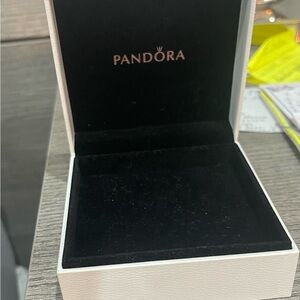 Pandora Black and White Jewelry Case